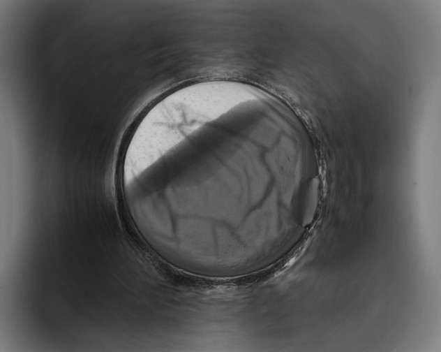 X0000093370196200711081531