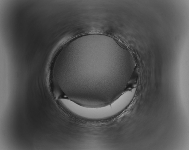 X0000093370197200711081531