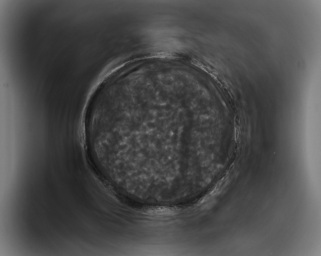 X0000093370198200711081531