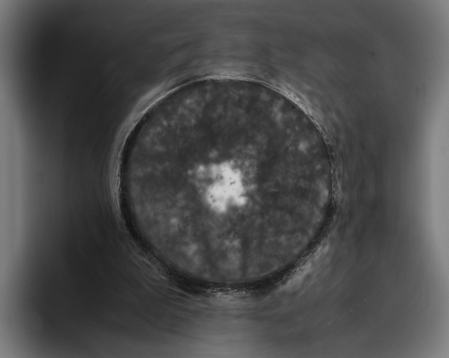 X0000093370199200711081531