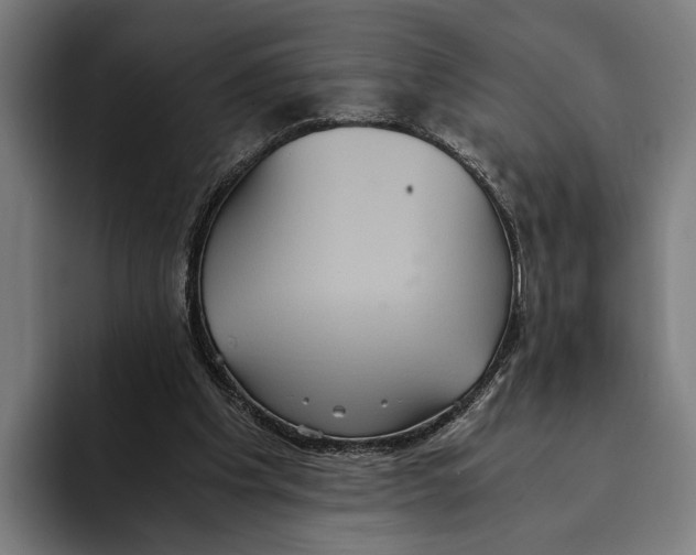 X0000093370201200711081531