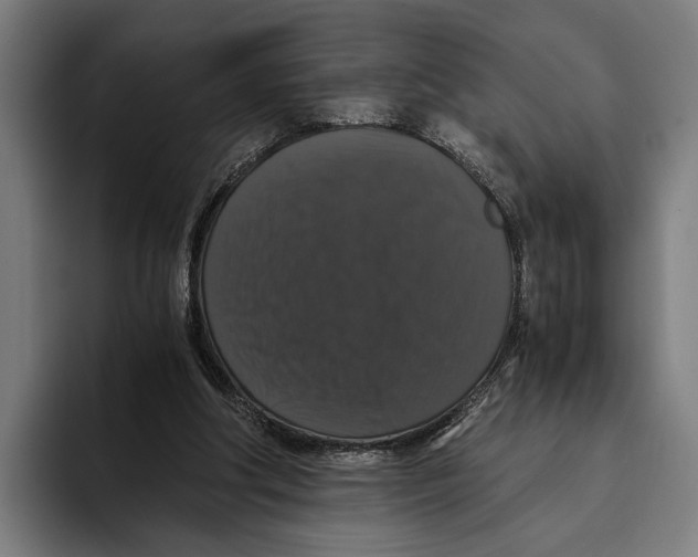 X0000093370202200711081531