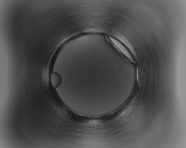X0000093370204200711081531