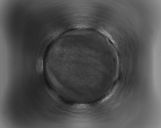 X0000093370205200711081531