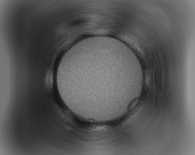 X0000093370206200711081531