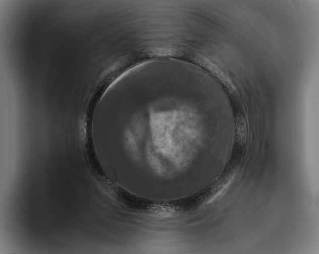 X0000093370207200711081531