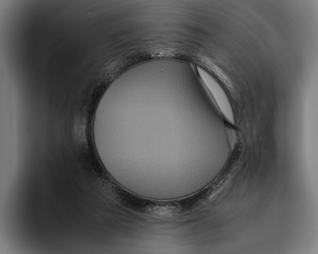 X0000093370209200711081531