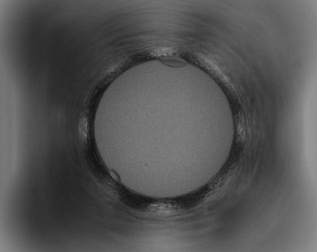 X0000093370211200711081531