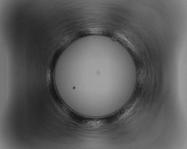 X0000093370213200711081531