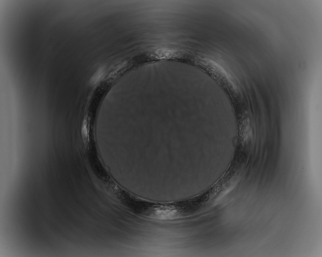 X0000093370214200711081531