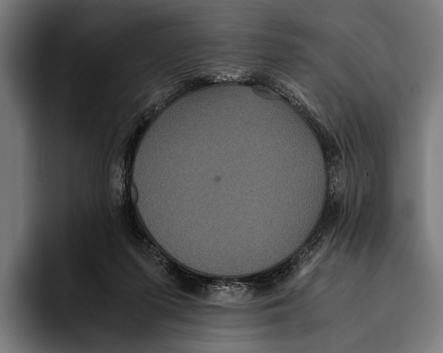 X0000093370215200711081531