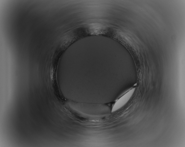 X0000093370219200711081531
