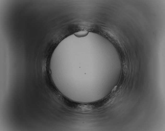 X0000093370221200711081531