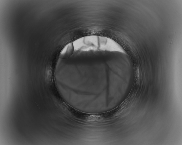 X0000093370222200711081531