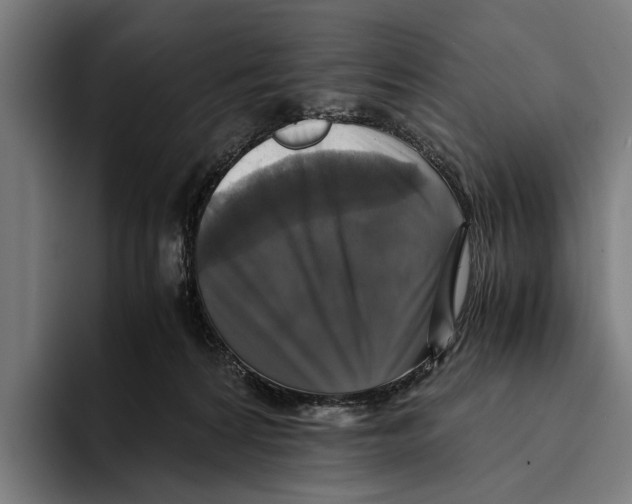 X0000093370224200711081531