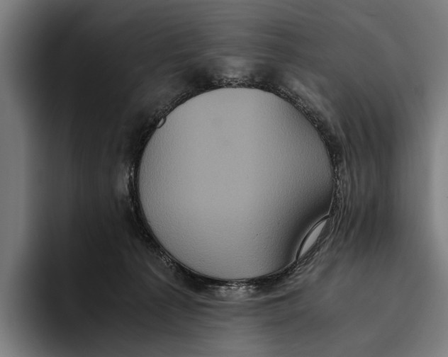 X0000093370225200711081531