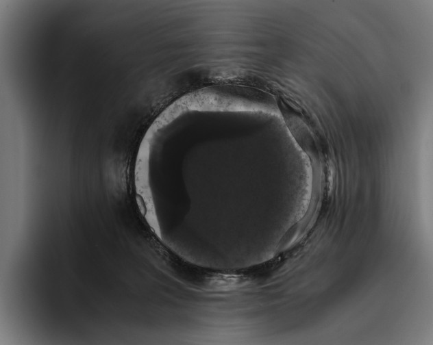 X0000093370227200711081531