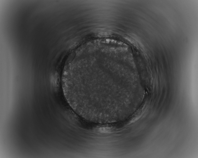 X0000093370228200711081531