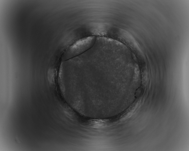X0000093370229200711081531