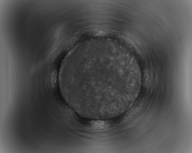 X0000093370230200711081531