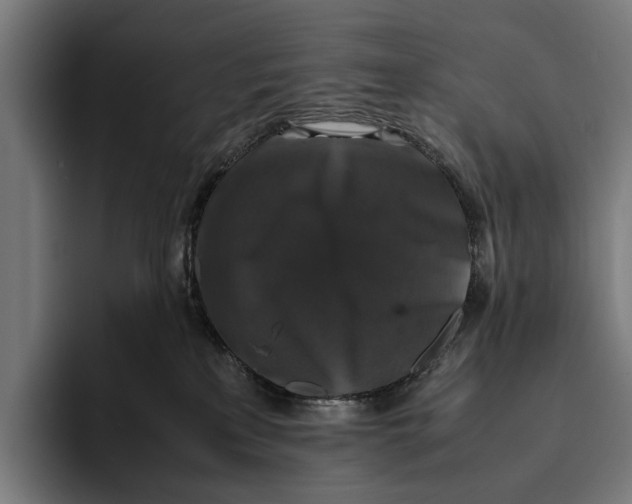 X0000093370233200711081531