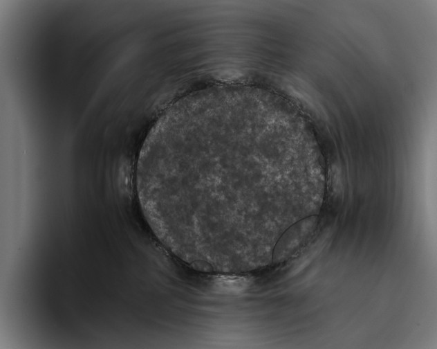 X0000093370234200711081531