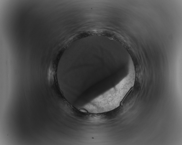 X0000093370235200711081531