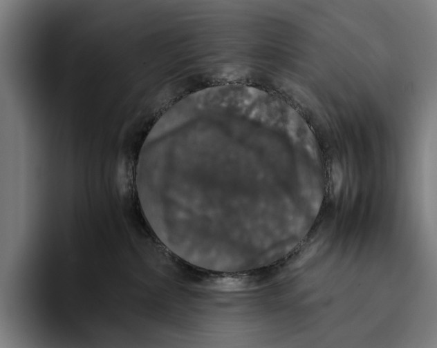 X0000093370236200711081531