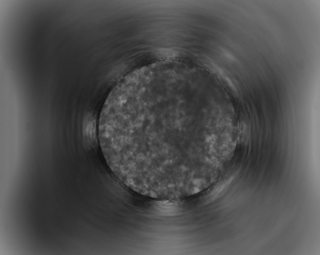 X0000093370238200711081531