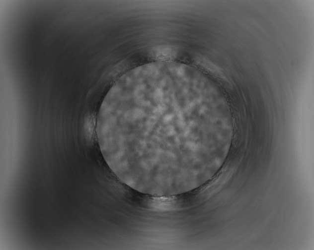 X0000093370240200711081531