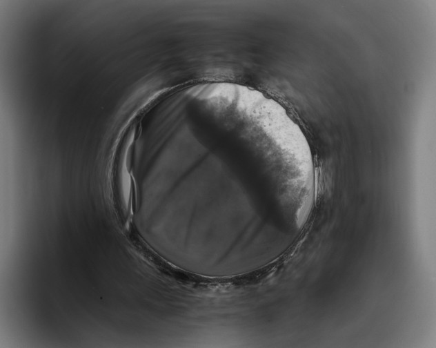 X0000093370243200711081530