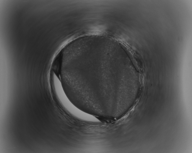 X0000093370244200711081530