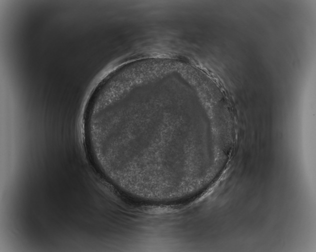 X0000093370246200711081530