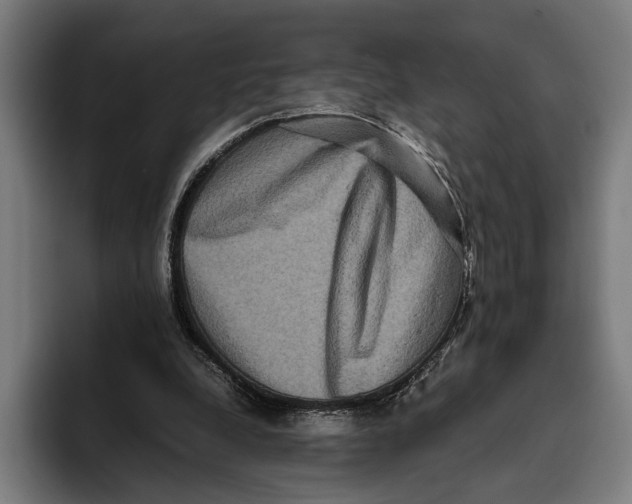 X0000093370248200711081530
