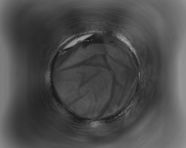 X0000093370249200711081530