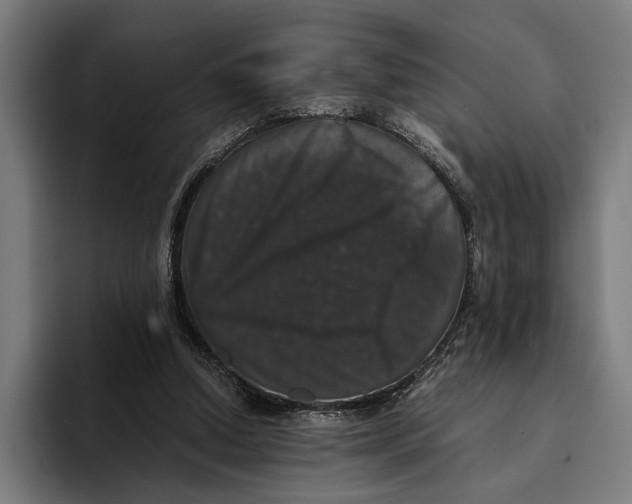 X0000093370250200711081530