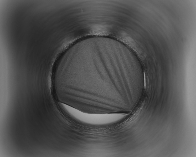 X0000093370252200711081530