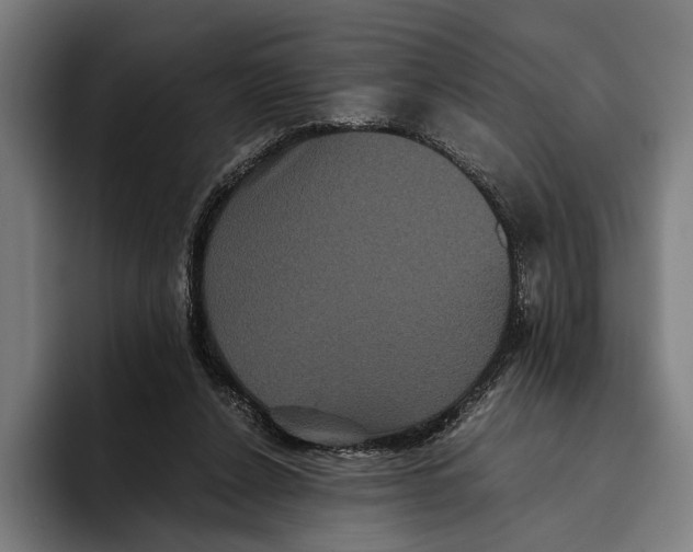 X0000093370256200711081530