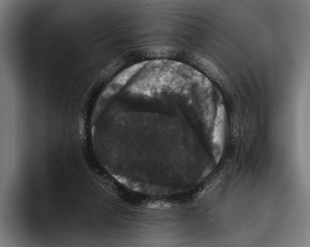 X0000093370258200711081530