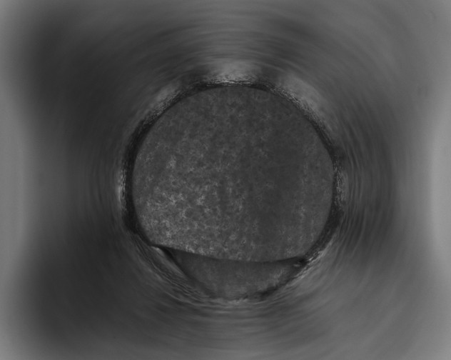 X0000093370260200711081530