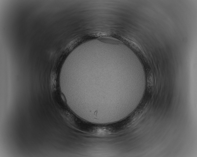X0000093370264200711081531