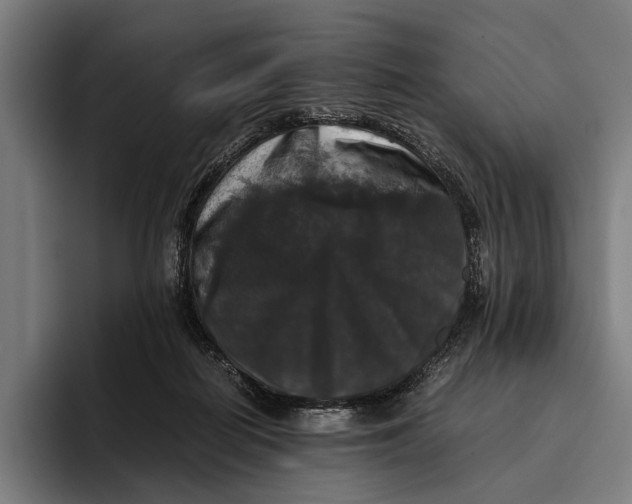 X0000093370266200711081531