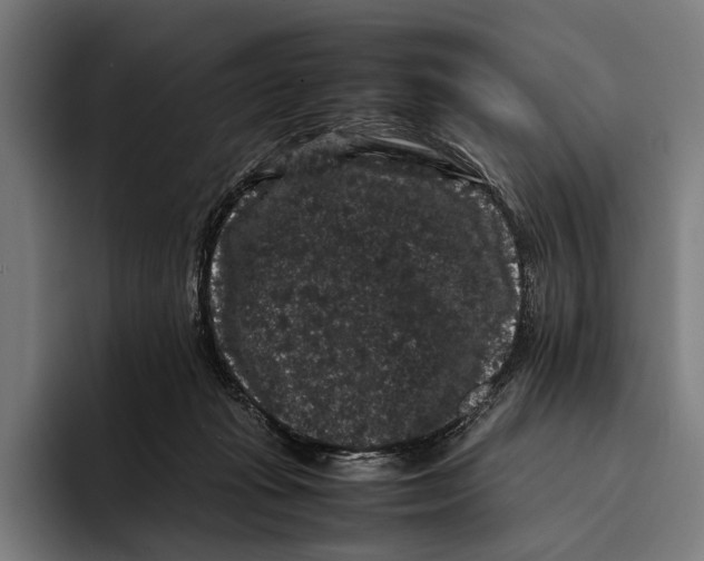 X0000093370269200711081531