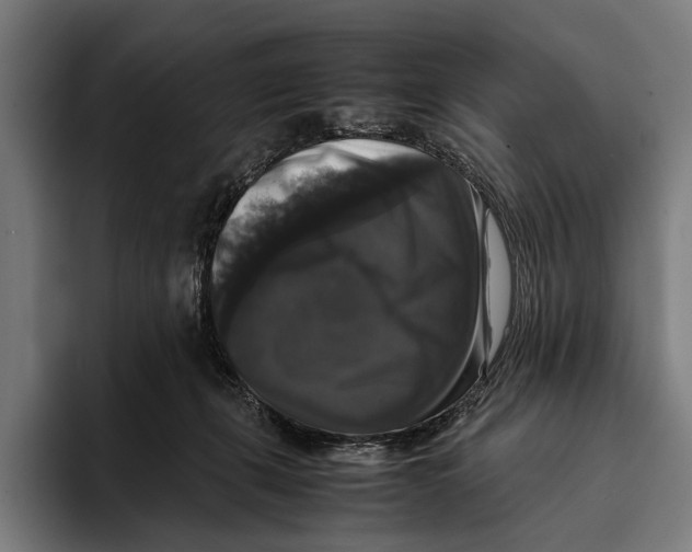 X0000093370271200711081531