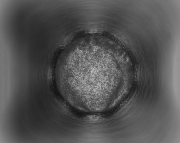X0000093370272200711081531