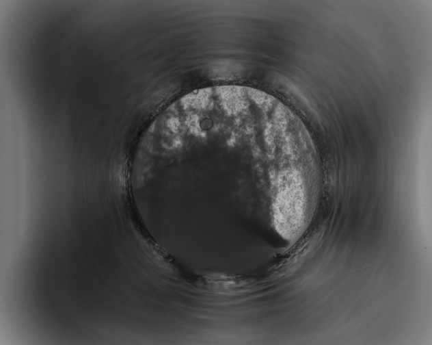 X0000093370277200711081531