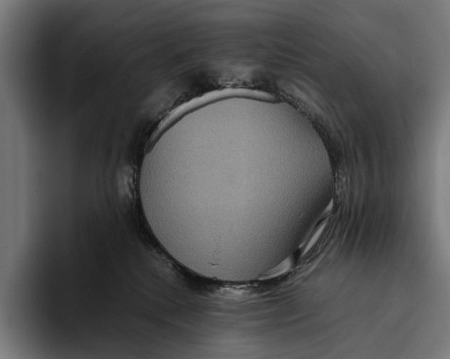 X0000093370280200711081531
