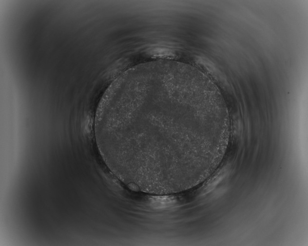 X0000093370281200711081531