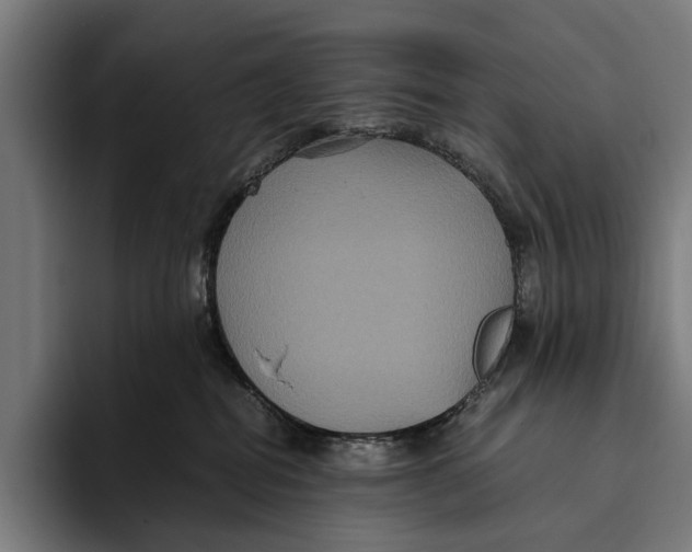 X0000093370282200711081531