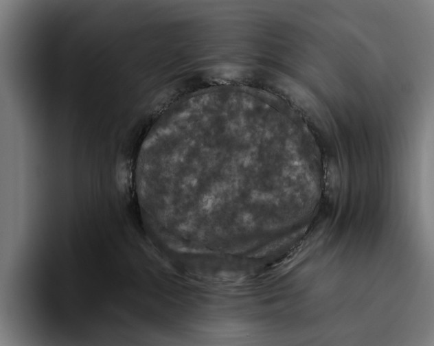 X0000093370284200711081531